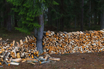 Stacks of firewood in the village close to forest