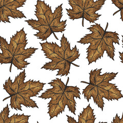 hand drawn autumn leaves seamless pattern