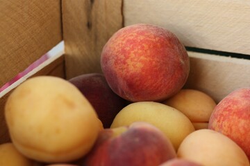 Ripe peaches and apricots in a wooden box