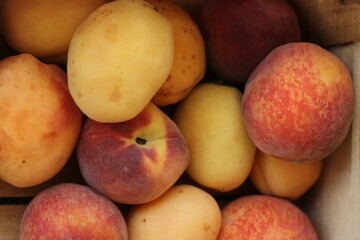 Ripe peaches and apricots in a wooden box