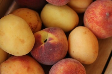 Ripe peaches and apricots in a wooden box