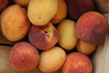 Ripe peaches and apricots in a wooden box