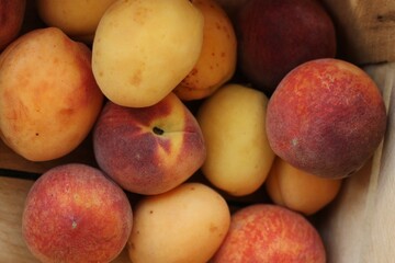 Fototapeta na wymiar Ripe peaches and apricots in a wooden box