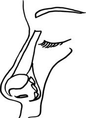 Contour vector outline drawing of nasopharynx. Medical design editable template