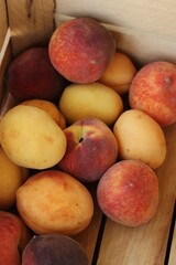 Ripe peaches and apricots in a wooden box