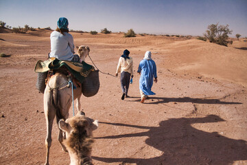 Wycieczka wielbłądami na pustynię - obrazy, fototapety, plakaty