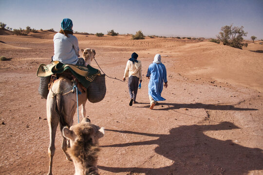 Wycieczka wielbłądami na pustynię