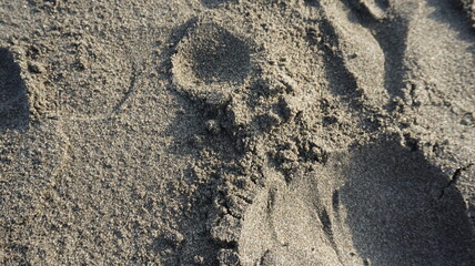 Sand beach that has a rough and beautiful texture