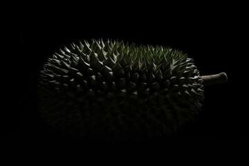 Durian thorn on black background