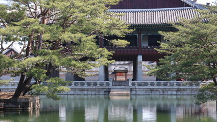Fototapeta premium japanese garden in spring