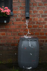 Rainwater harvesting