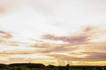 Landscape of green forest with orange sunset sky, Top view of green tree forest