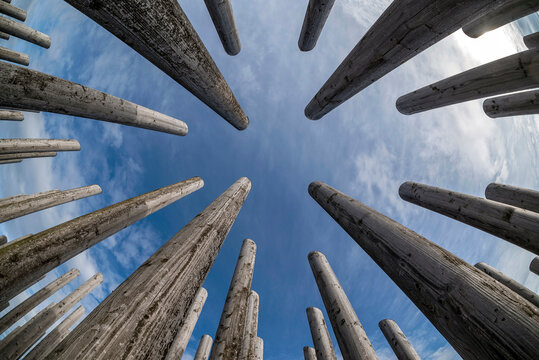 Stangenpyramide in Dreieich im Regionalpark RheinMain