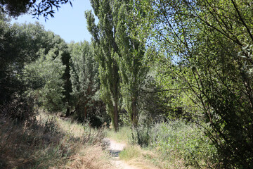 El Pardo, Rio Manzanares