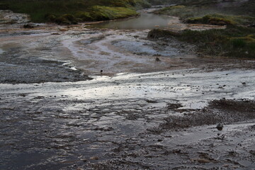 Geothermalgebiet am großen Geysir und Strokkur in Südisland