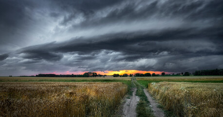 Huge storm cloud aproaching over fields - panorama