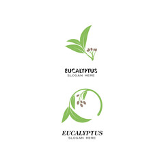 Eucalyptus leaves logo vector template
