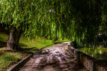 Night summer European park with river and promenade