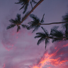 sunset in maui