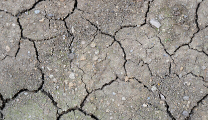 dry cracked earth texture background