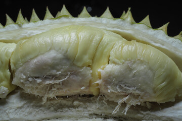 Durian meat