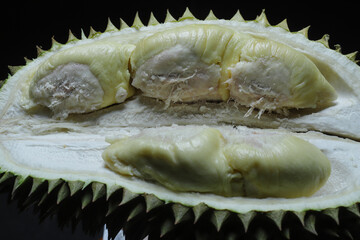 Durian fruit on black background