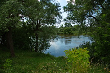 Obraz premium Summer landscapes in the vicinity of the village of Ubor, Moscow region of Russia.
