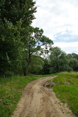 Obraz premium Country forest roads in the vicinity of the village of Ubor.
