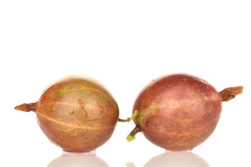 Ripe juicy organic agrus, close-up, isolated on white.