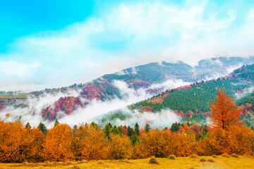 View of foggy autumn day in mountains. Beautiful valley with colorful trees and rolling hills under cloudy sky. Concept of nature.