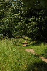 Forest paths around the village of Ubor.