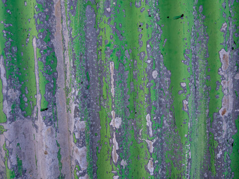 old corrugated metal panel painted green