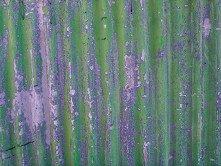 old corrugated metal panel painted green