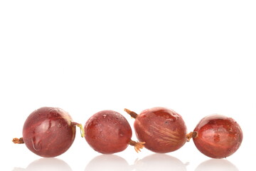 Ripe juicy organic agrus, close-up, isolated on white.