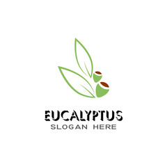 Eucalyptus leaves logo vector template