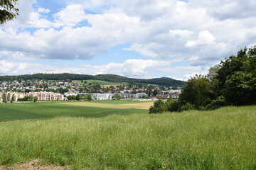 Fototapeta na wymiar Panoramic view on the village Urdorf, municipality in the district of Dietikon in the canton of Zürich in Switzerland, located in the Limmat Valley. In foreground agricultural green fields under crop