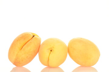 Fototapeta na wymiar Ripe organic yellow apricot, close-up, isolated on white.