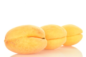 Naklejka na ściany i meble Ripe organic yellow apricot, close-up, isolated on white.