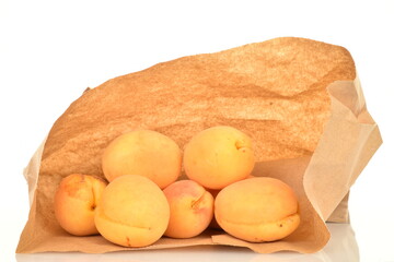 Ripe organic yellow apricot, close-up, isolated on white.