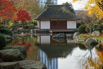 Japanischer Garten Hamburg im Herbst