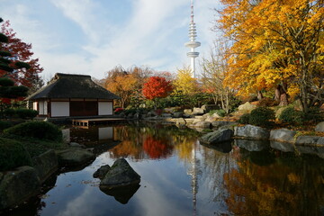 Japanischer Garten Hamburg im Herbst