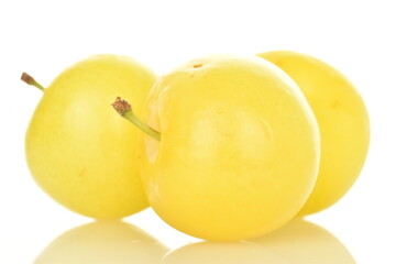 Ripe yellow plum, close-up, isolated on white.