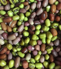Closeup of colorful adzuki beans 