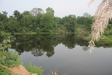 lake in the forest