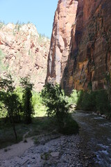 scenic Trails in Zion National Park, Utah