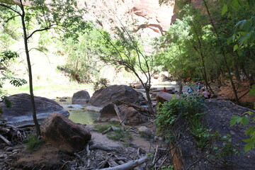 scenic Trails in Zion National Park, Utah