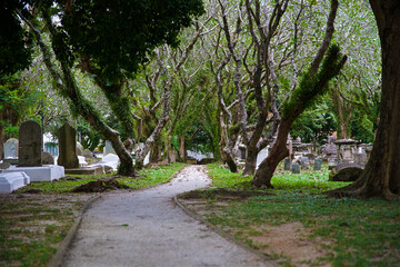 ancient catholic cemetery on the temple territory, old stone stupas, burial places of ashes of dead people, place of worship of ancestors