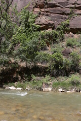 scenic Trails in Zion National Park, Utah
