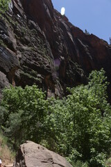 Obraz premium scenic Trails in Zion National Park, Utah