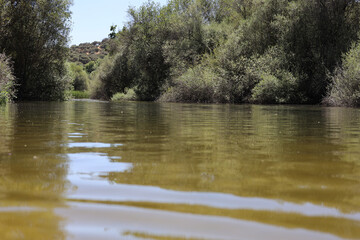 Fototapeta na wymiar Paisaje rio Manzanares El Pardo